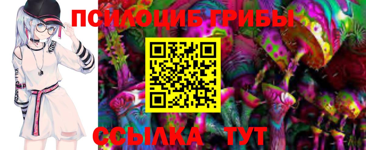 Псилоцибиновые грибы Cubensis Кохма